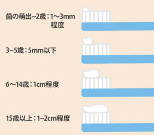フッ素の量の目安